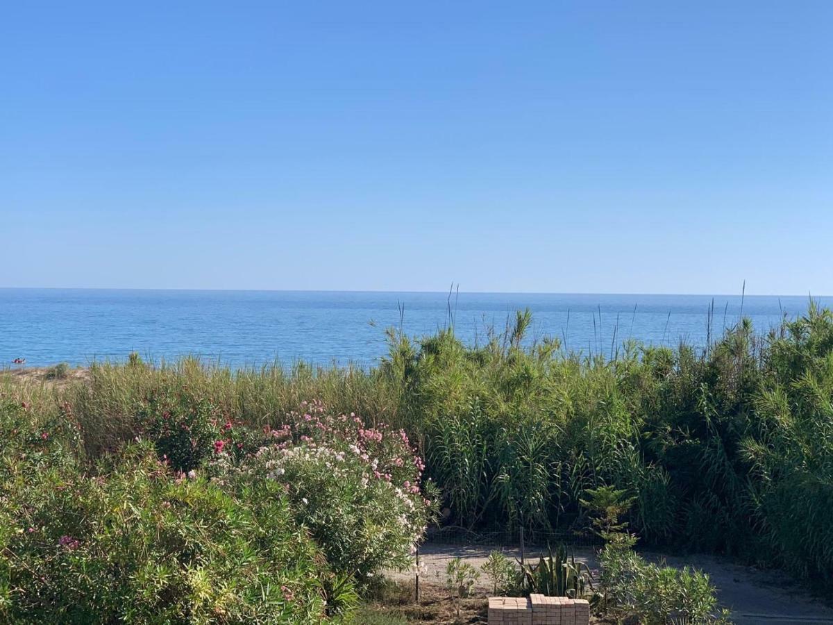 Villa Morgana 멘피 외부 사진